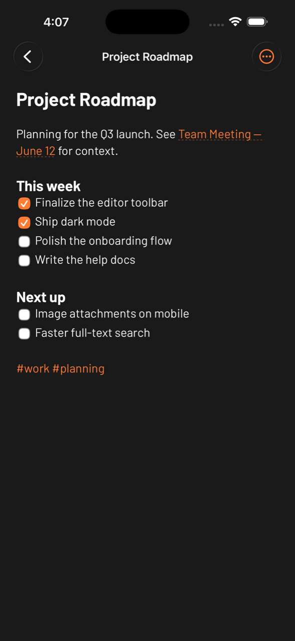 FUTO Notes running natively on iOS, dark theme